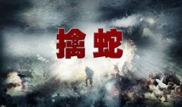 擒蛇第40集在线观看